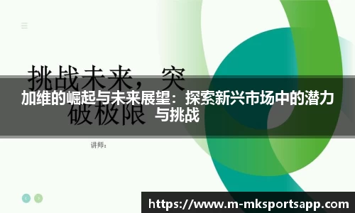 加维的崛起与未来展望：探索新兴市场中的潜力与挑战